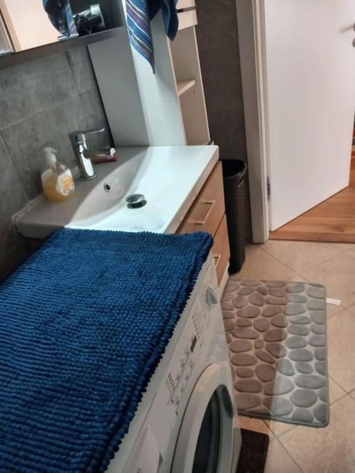 Stilvolle Wohnung Mit Terrasse/Garten Wien Ngoại thất bức ảnh