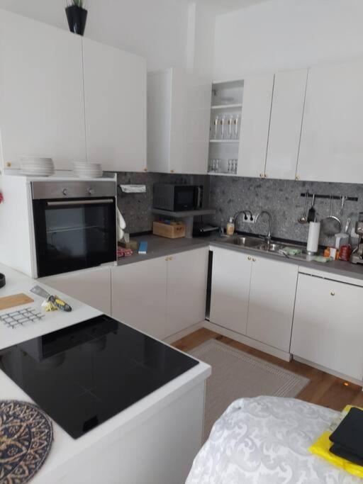 Stilvolle Wohnung Mit Terrasse/Garten Wien Ngoại thất bức ảnh